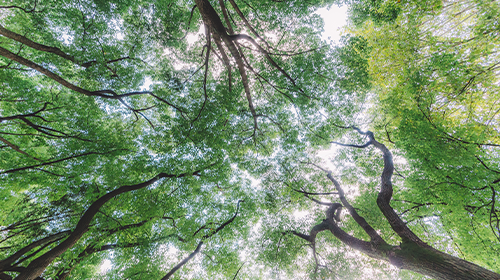 两部委公布储能相关意见、2024年3月全国代理购电价格公布、人民法院案例库今起对社会开放、本周提醒信息