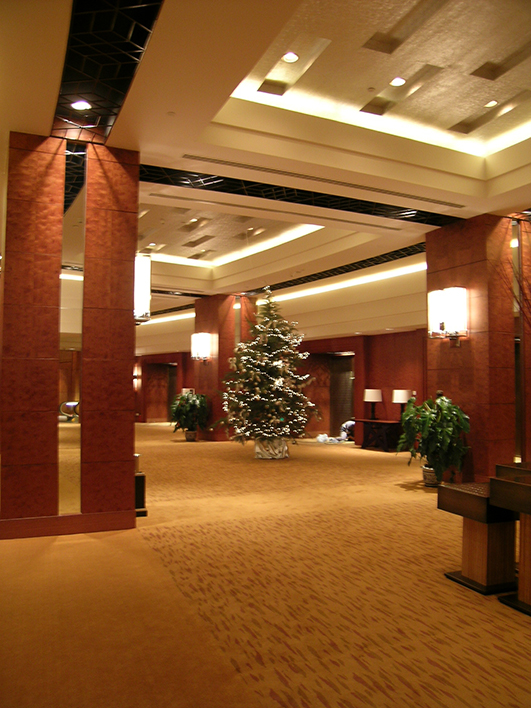 杭州凯悦酒店图片