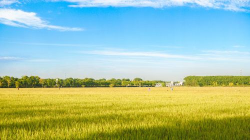 中共中央 国务院与国家能源局相继印发重磅文件、苏/蒙/浙/鲁等地光储新政