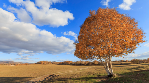 国家能源局发布《可再生能源绿色电力证书核发和交易规则》、能源法草案二审将有新调整、地方风光储新政…… 