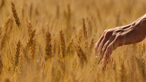 习近平发表重要讲话、能源法（草案二次审议稿）公开征求意见、8月规上工业风光发电增长情况公布……