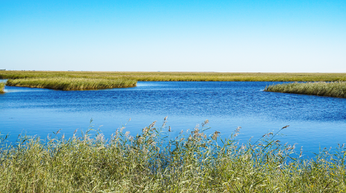 工信部和国家能源局印发重磅文件、全国统一电力市场建设迈上新台阶、广东省关于独立储能电站试行电费补偿机制等有关事项的通知……