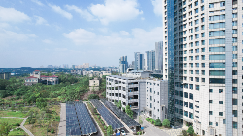 全国统一电力市场蓝皮书征求意见稿出炉、投资项目将考核碳排放、智能电网领域有新动态、安徽省连发多项新能源新政…… 