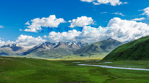 2025年中央一号文件发布、国家能源局发布数据、工信部开展算力强基揭榜行动、内蒙古下放新能源管理权限……