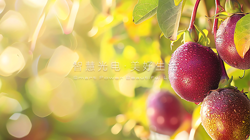 跨电网经营区常态化电力交易机制方案复函、绿色金融支持项目目录、入伏防暑要注意……